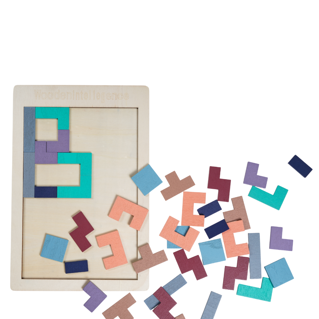 Montessori Tetris Puzzle