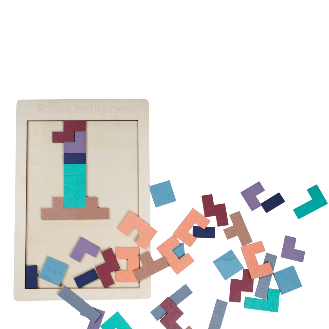 Montessori Tetris Puzzle