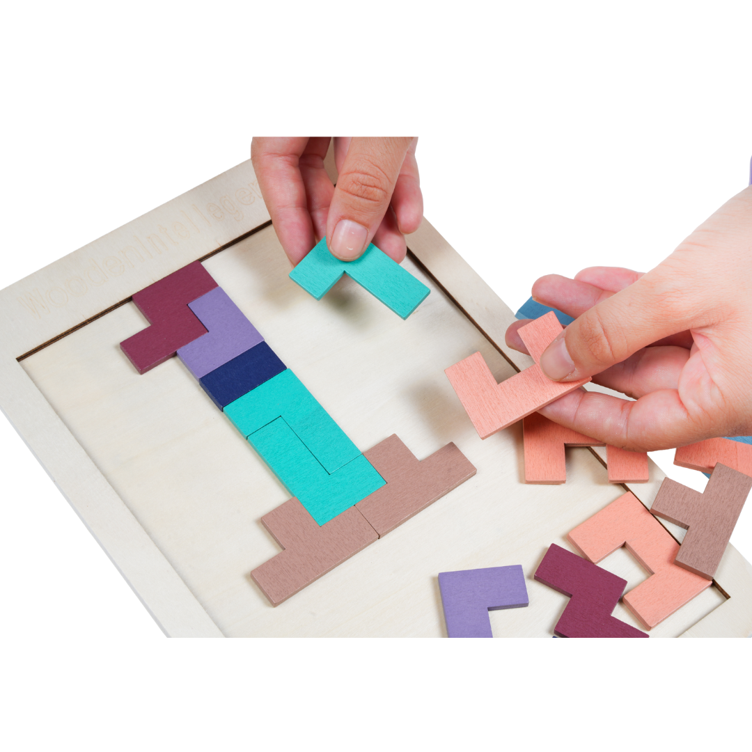 Montessori Tetris Puzzle