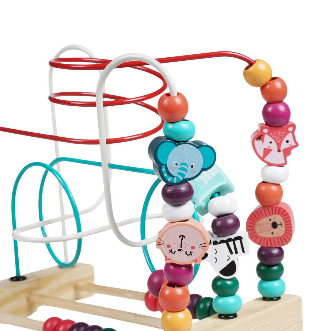 Montessori Wooden Maze