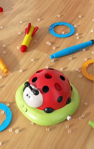 Montessori Ladybird