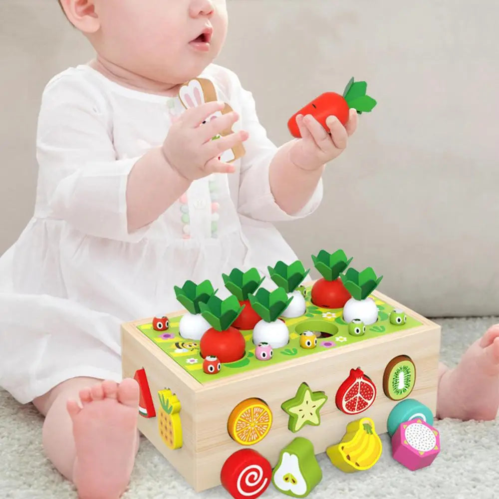 Montessori Carrot Harvest Game