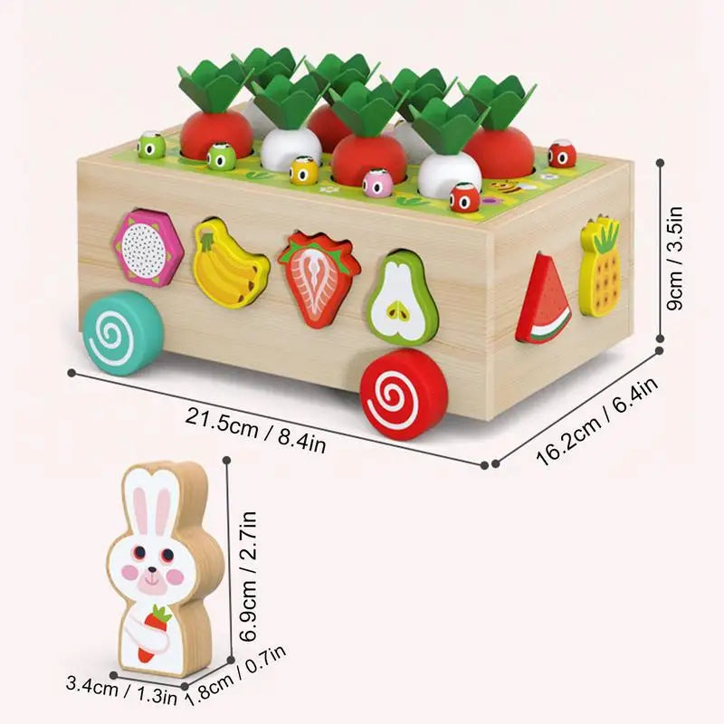Montessori Carrot Harvest Game
