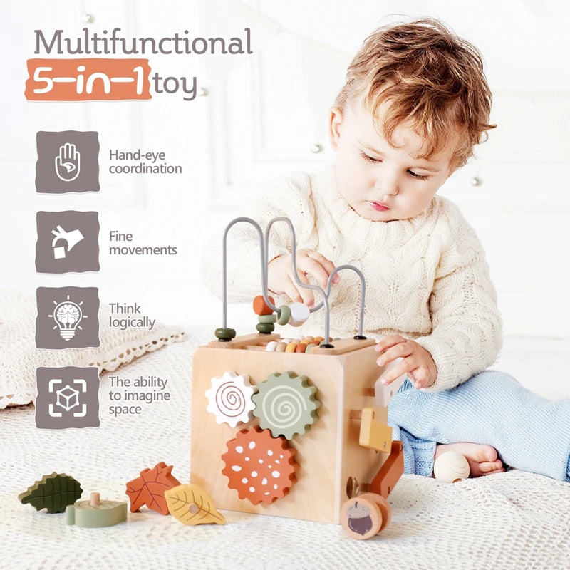 Montessori Wooden Multifunctional Box