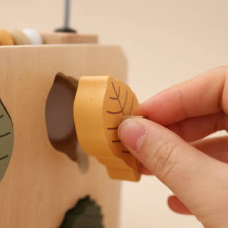 Montessori Wooden Multifunctional Box