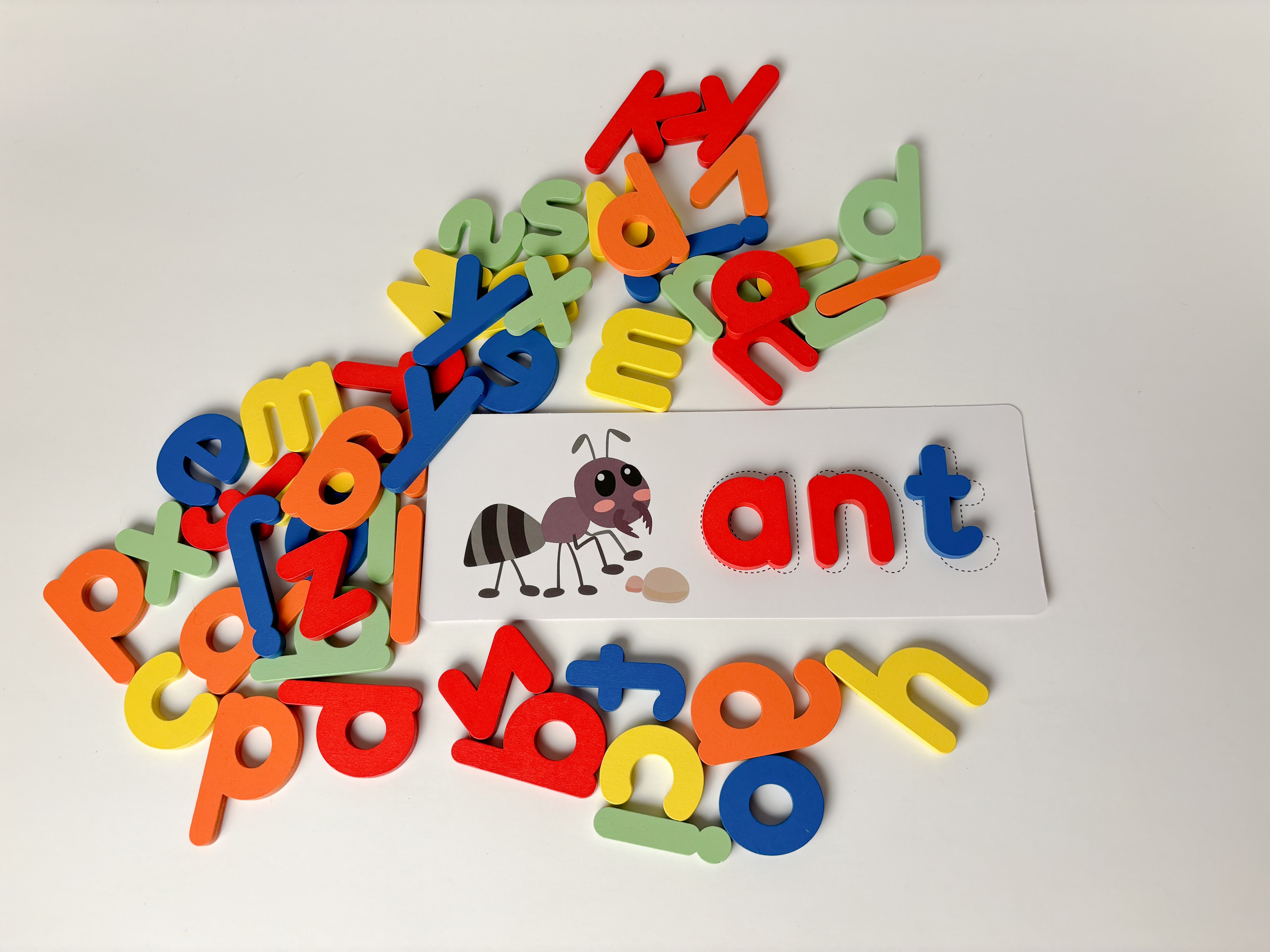 Montessori Alphabet Puzzle