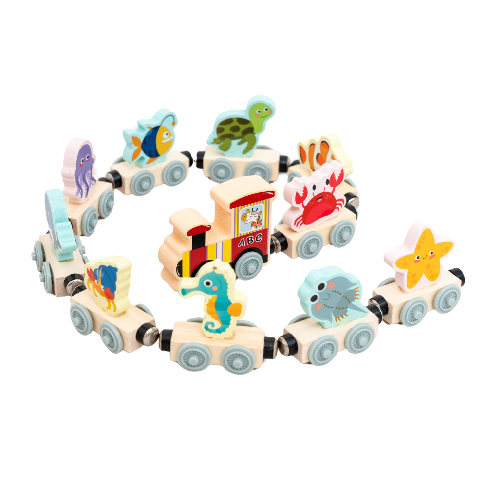 Montessori Magnetic Wooden Train
