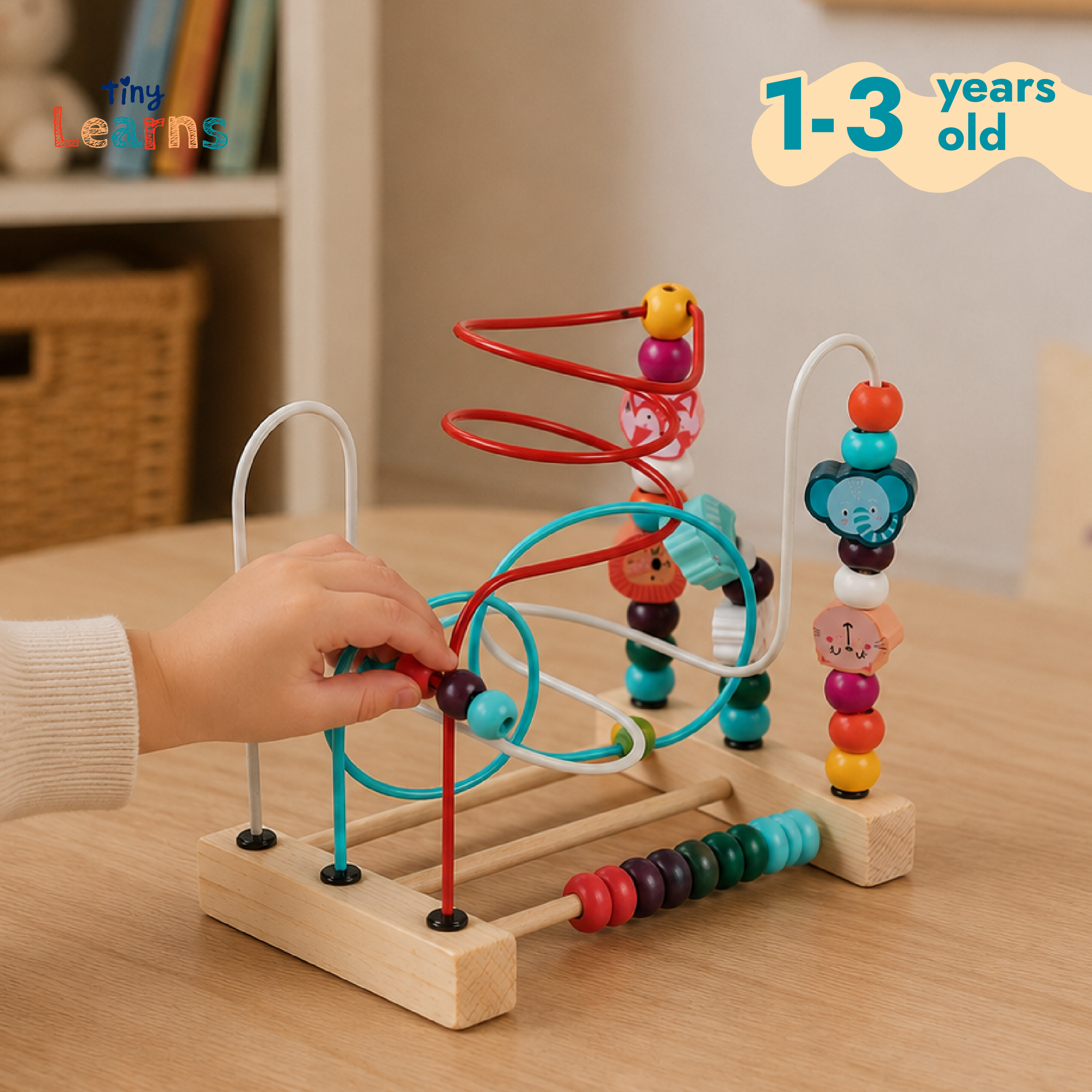 Montessori Wooden Maze