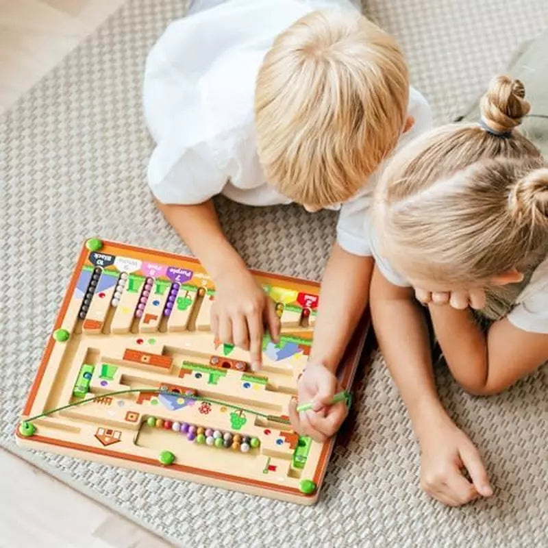 Montessori Magnetic House Maze