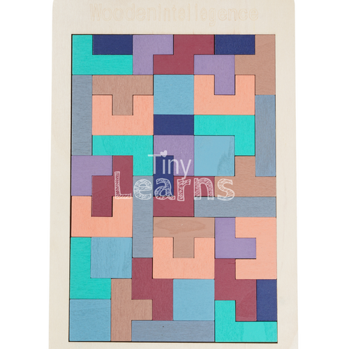 Montessori Tetris Puzzle