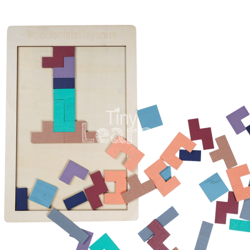 Montessori Tetris Puzzle