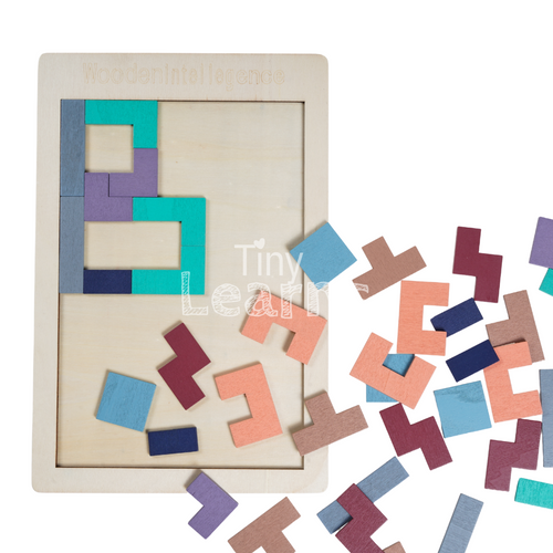 Montessori Tetris Puzzle