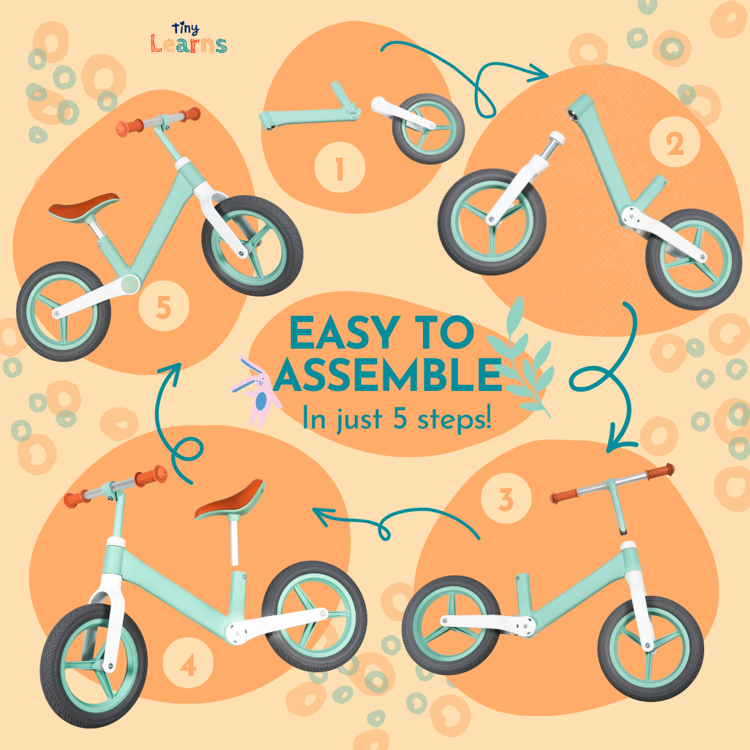 Montessori Adventure Rider