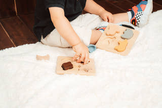 Montessori Wooden 3D Puzzle Toys
