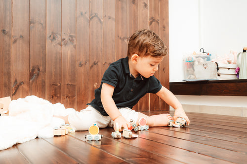 Magnetic Wooden Train