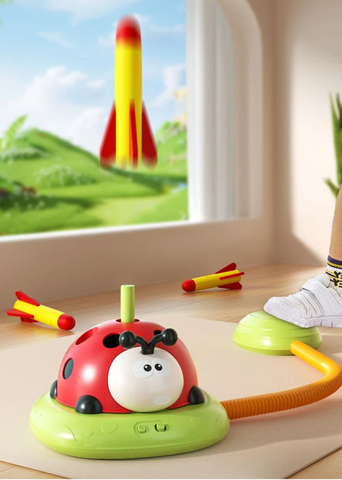 Montessori Ladybird 🐞