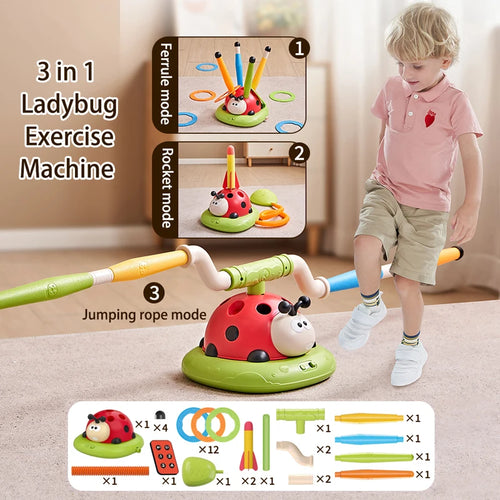 Montessori Ladybird 🐞