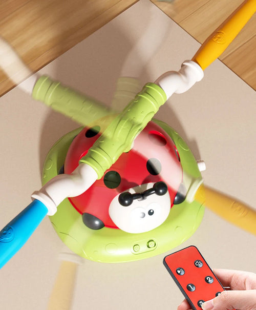 Montessori Ladybird 🐞
