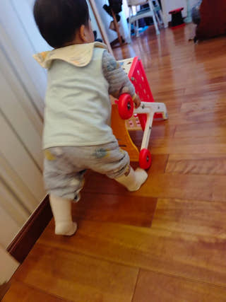 Montessori Baby Toy Trolley