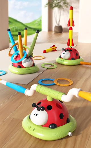 Montessori Ladybird 🐞