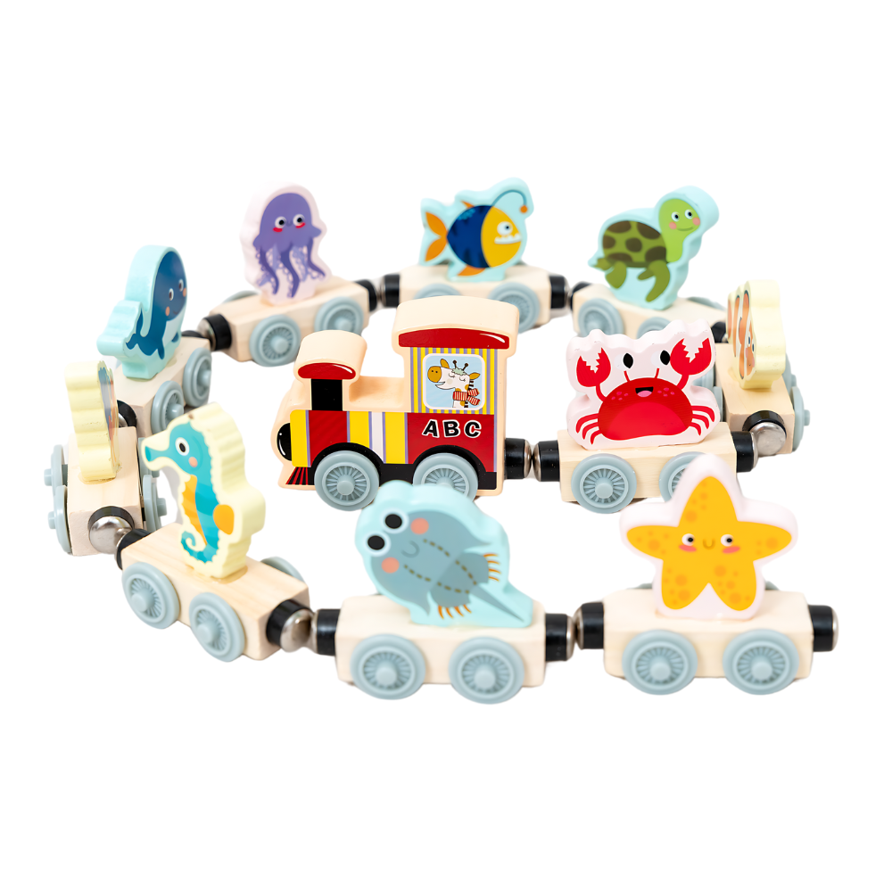 Montessori Magnetic Wooden Train