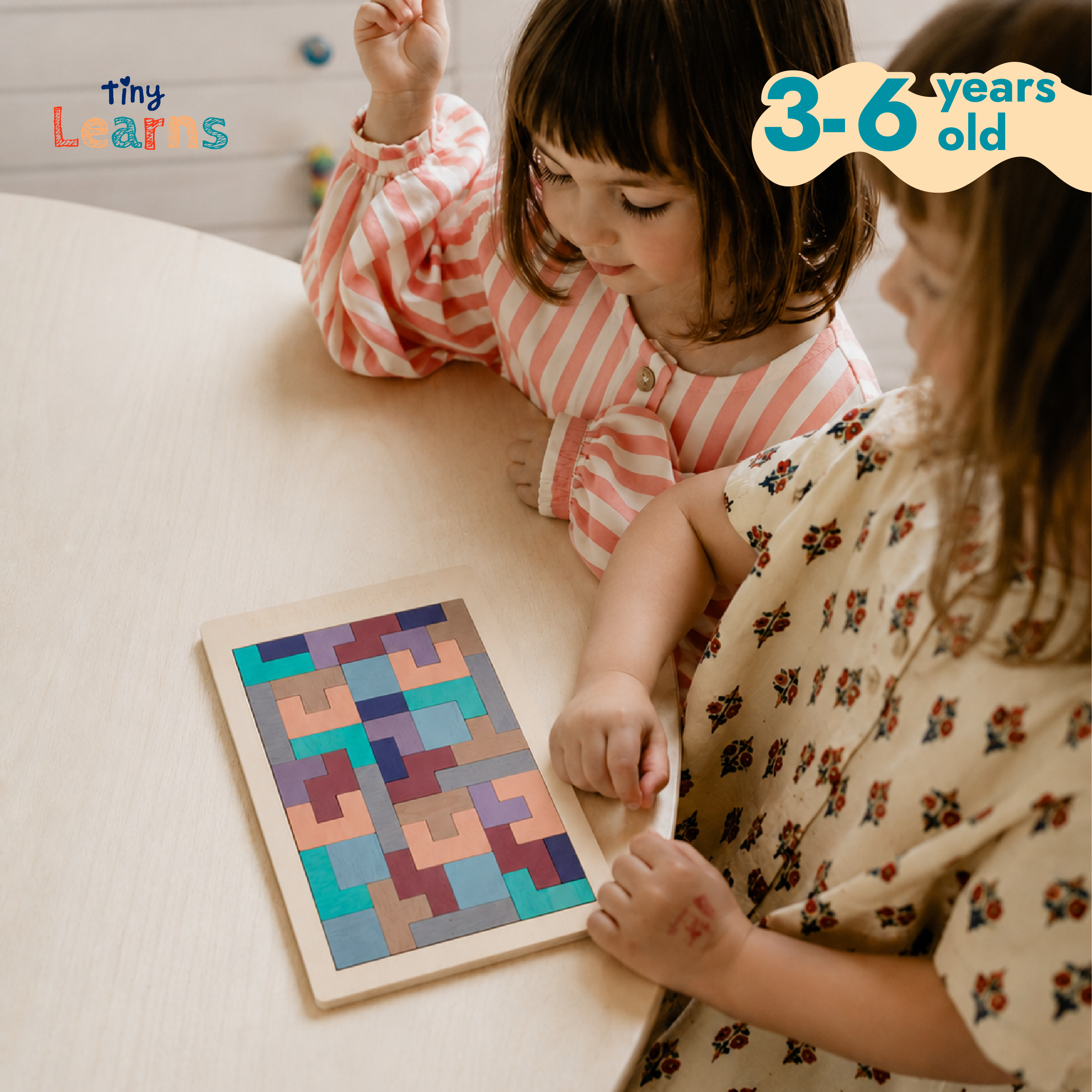 Montessori Tetris Puzzle