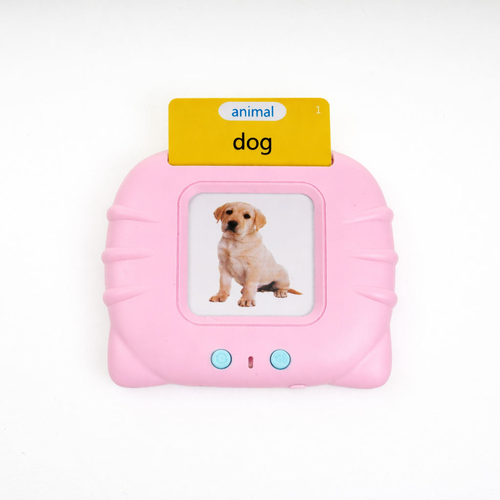 Montessori Flash Cards